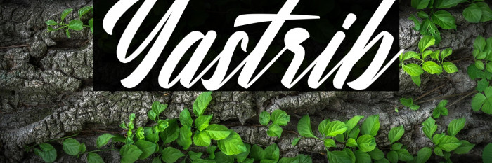 Yastrib Example 1