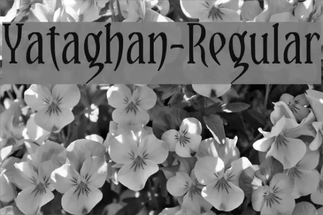 Yataghan-Regular Font examples