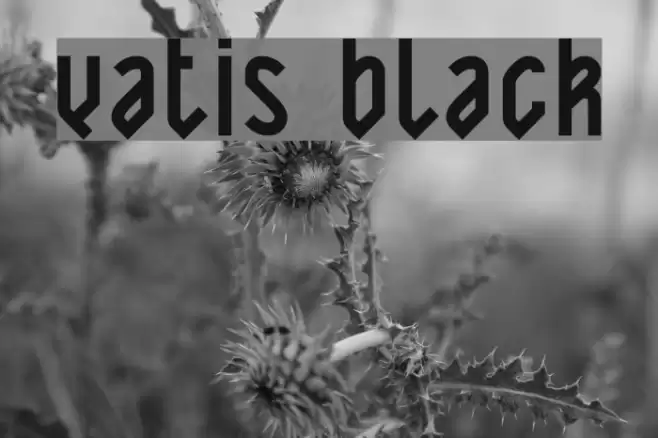 Yatis black Font examples