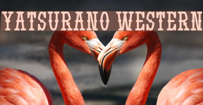 Yatsurano Western Font examples