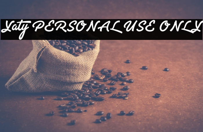 Yaty PERSONAL USE ONLY Example 2