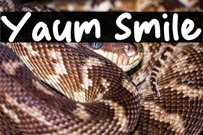 Yaum Smile Example 2