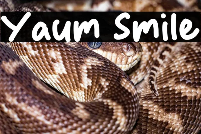 Yaum Smile Example 2
