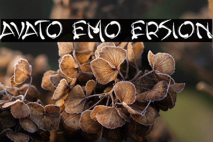 Yavato Demo Version Example 2