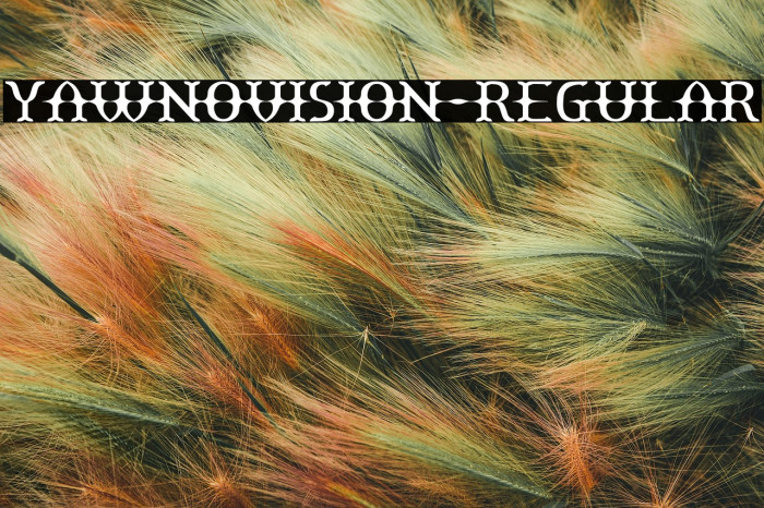 Yawnovision-Regular Example 2