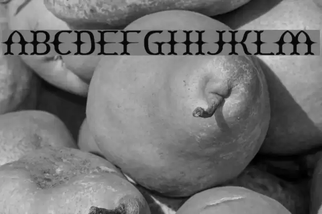 Yawnovision Schriftart examples