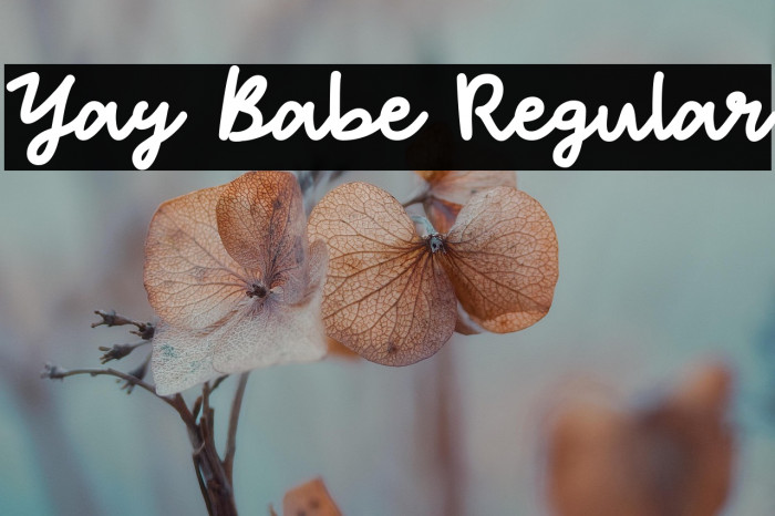 Yay Babe Regular Example 3