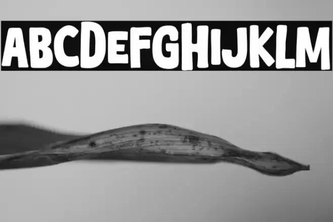 Yay Holiday Font examples