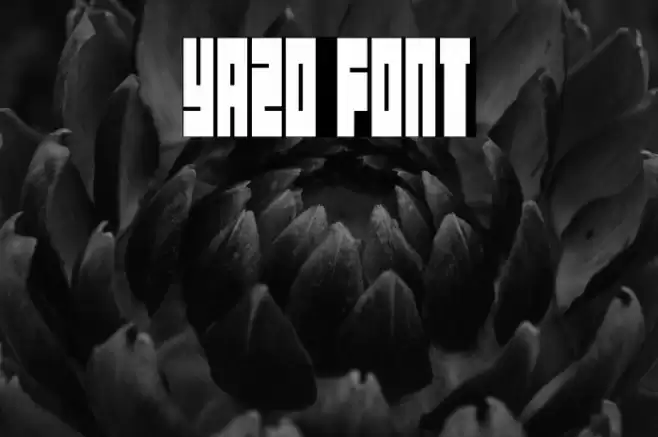 Yazo Fonte examples