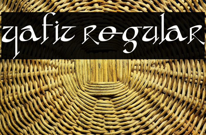 yafit Regular Example 1