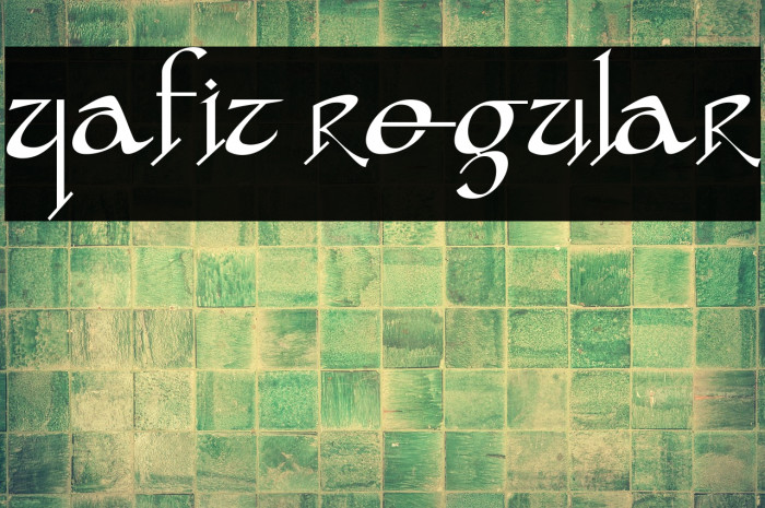 yafit Regular Example 2