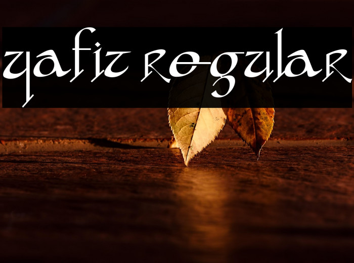 yafit Regular Example 3