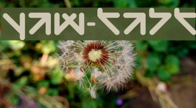 yaw-taht Example 3