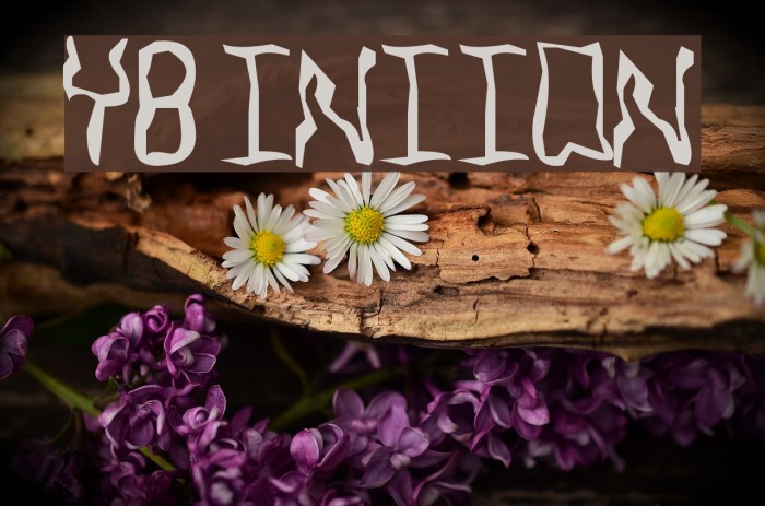 YB Intuition Font examples