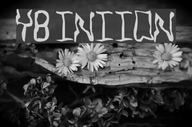 YB Intuition Fuentes examples