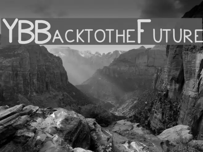 YBBacktotheFuture Fonte examples