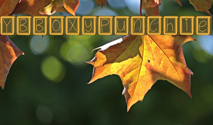 YBBoxyPunchie Font examples