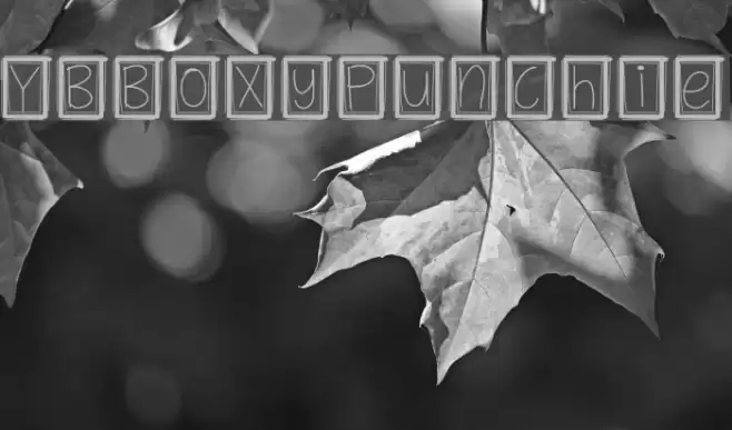 YBBoxyPunchie Schriftart examples