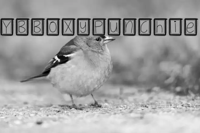 YBBoxyPunchie Schriftart examples