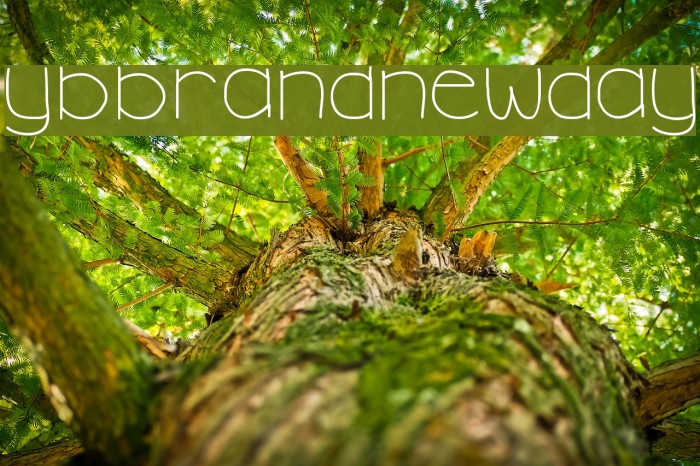 YBBrandNewDay Example 1