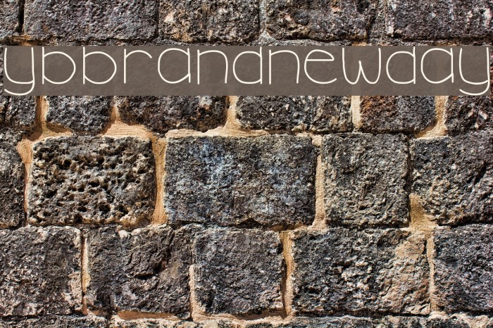 YBBrandNewDay Example 2