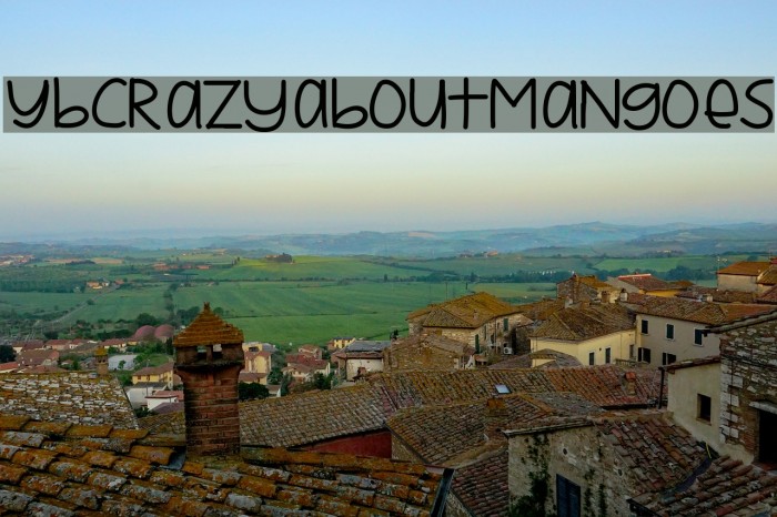 YBCrazyAboutMangoes Font examples