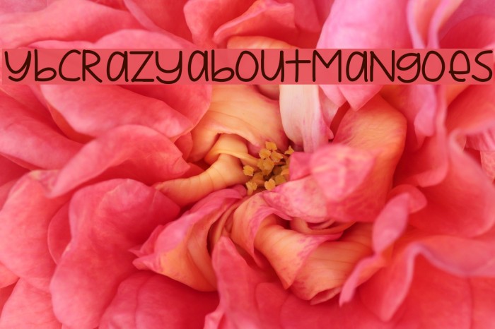 YBCrazyAboutMangoes Font examples