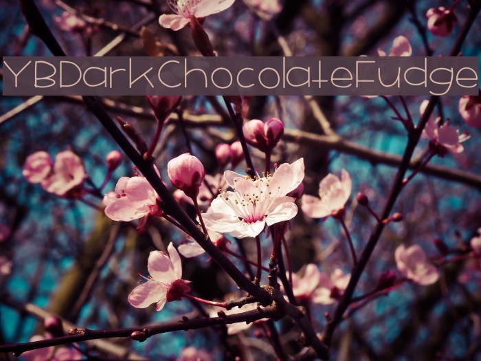 YBDarkChocolateFudge Font examples