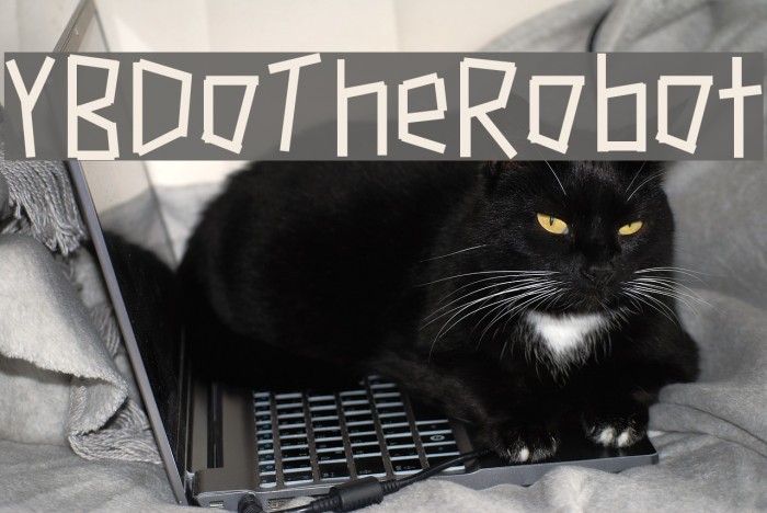 YBDoTheRobot Example 2