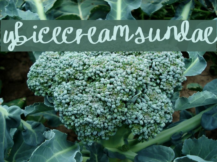 YBIceCreamSundae Font examples