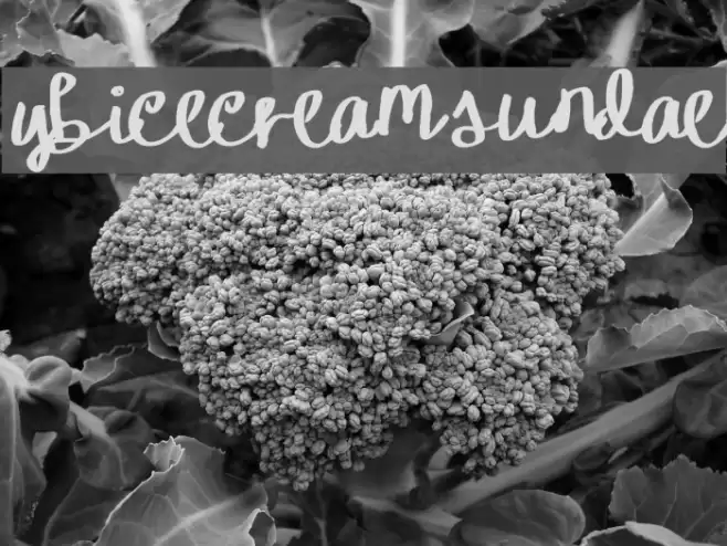 YBIceCreamSundae Шрифта examples