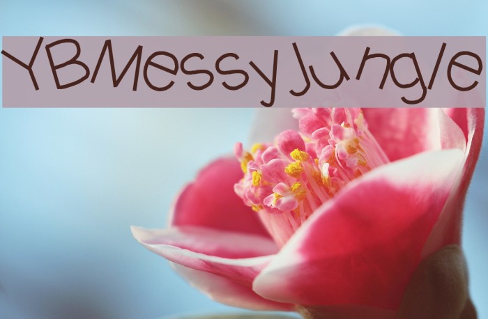 YBMessyJungle Font examples