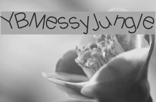 YBMessyJungle Font examples