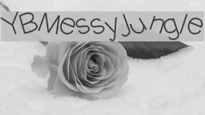 YBMessyJungle Font examples