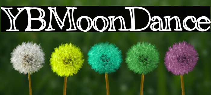 YBMoonDance Example 1