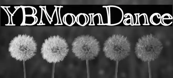YBMoonDance Font examples