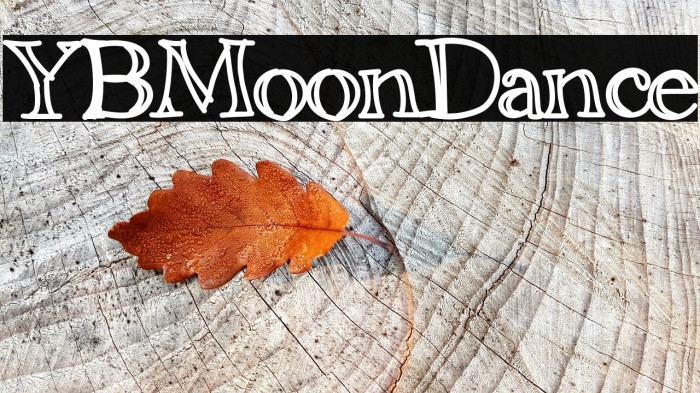 YBMoonDance Example 2