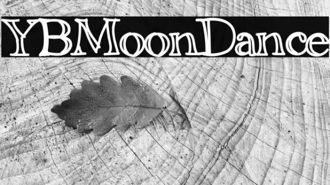 YBMoonDance Font examples
