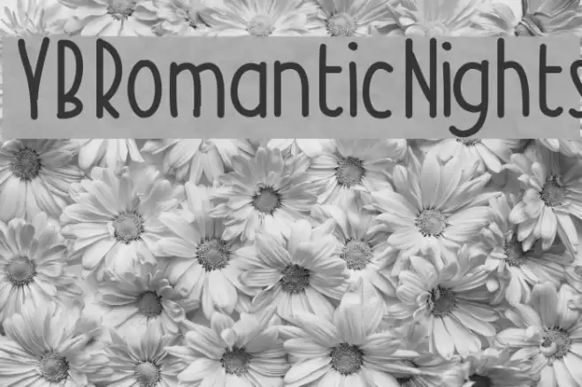 YBRomanticNights Font examples