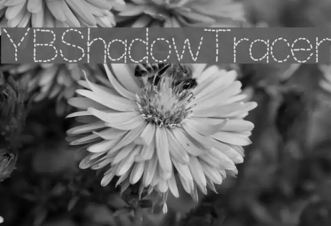 YBShadowTracer Font examples