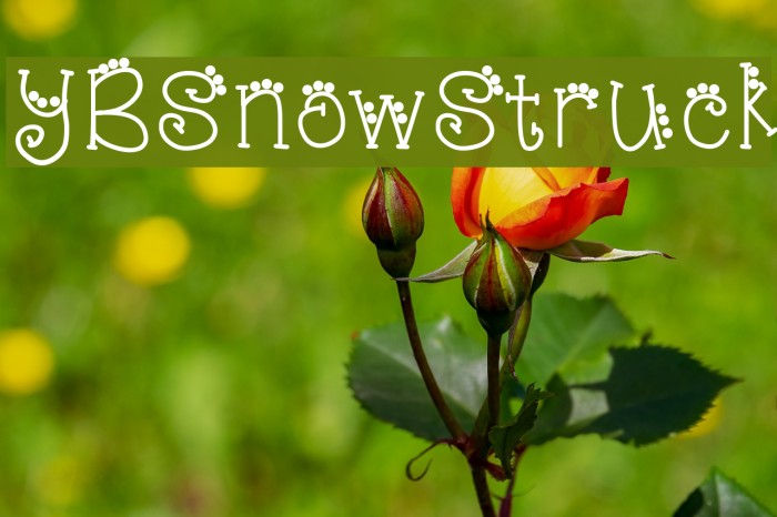 YBSnowStruck Example 2