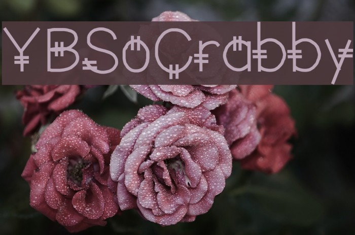 YBSoCrabby Font examples