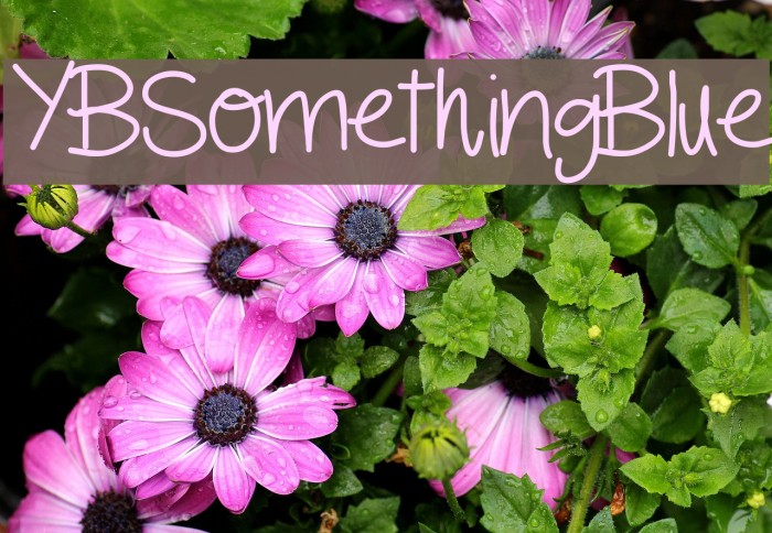YBSomethingBlue Font examples
