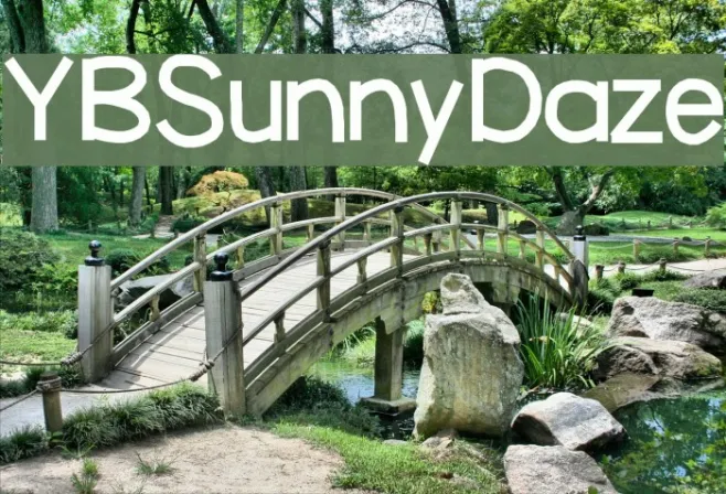 YBSunnyDaze Example 2