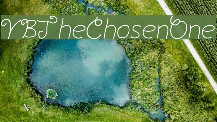 YBTheChosenOne Font examples