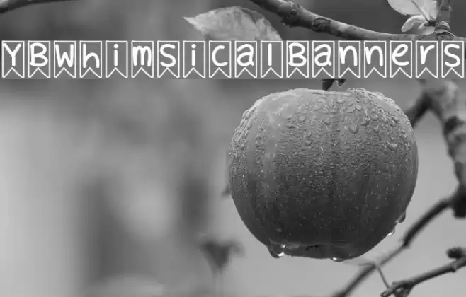 YBWhimsicalBanners Polices examples