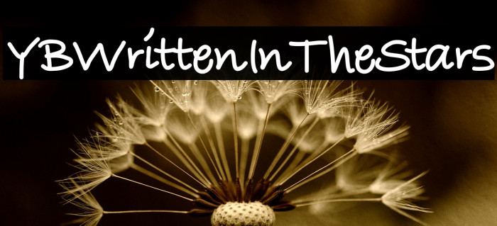 YBWrittenInTheStars Font examples