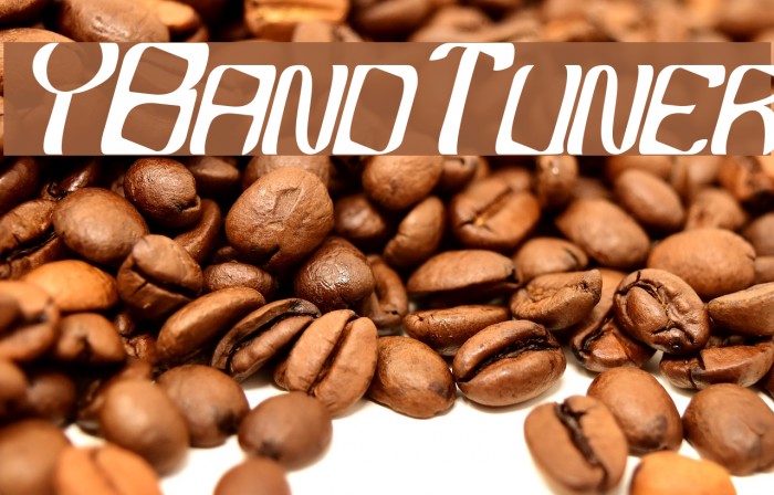 YBandTuner Font examples