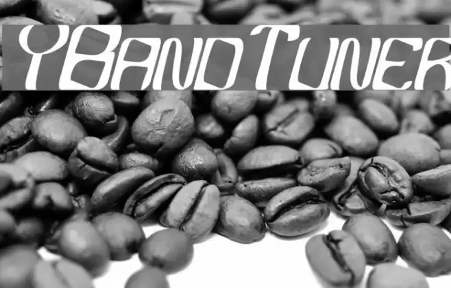 YBandTuner Polices examples