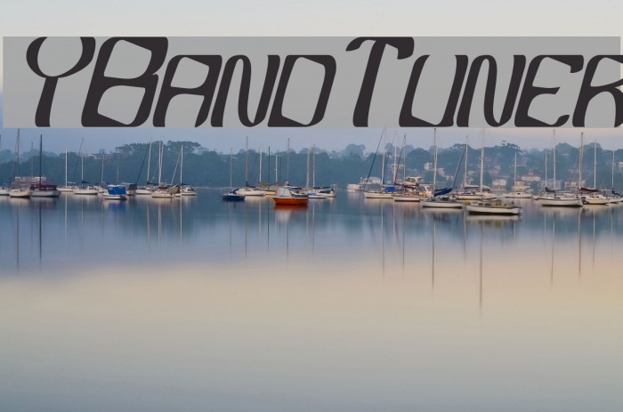 YBandTuner Font examples